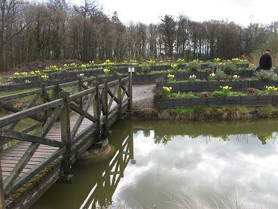 Narzissenfest Ippenburg